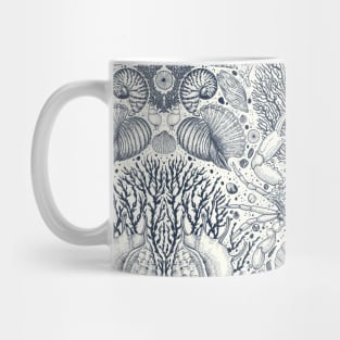 Beach treasures, seashells, crab, corals and seaweeds in navy on natureal whie Mug